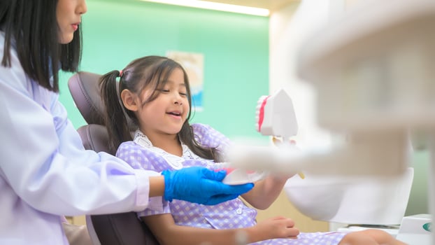 Female dentist demonstrating how to brush teeth to a little girl in dental clinic, teeth check-up and Healthy teeth concept photo