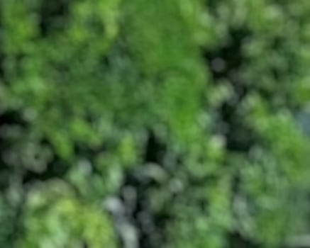 abstract green blur background photo