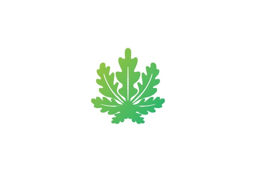Modern Oak or Papaya Cannabis Leaf for Herbal Nature Garden Logo Design Vector