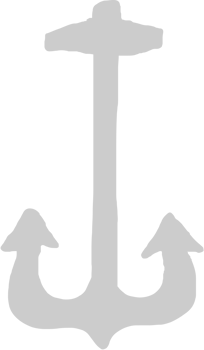 Anchor vector