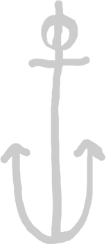 Anchor vector