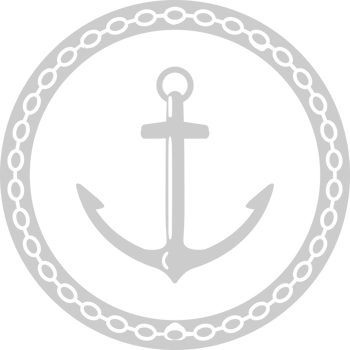 Anchor vector