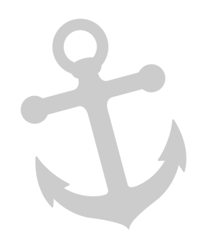 Anchor vector