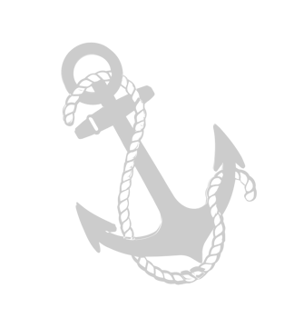 Anchor vector