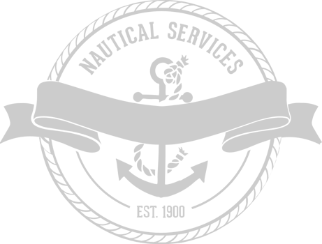Anchor vector