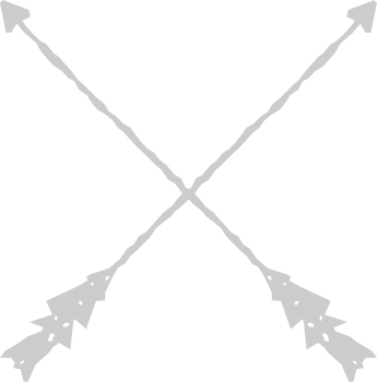 Arrows vector