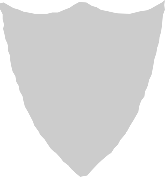 Shield vector