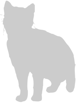 Cat vector