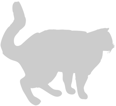 Cat vector