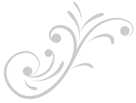 Flourish vector
