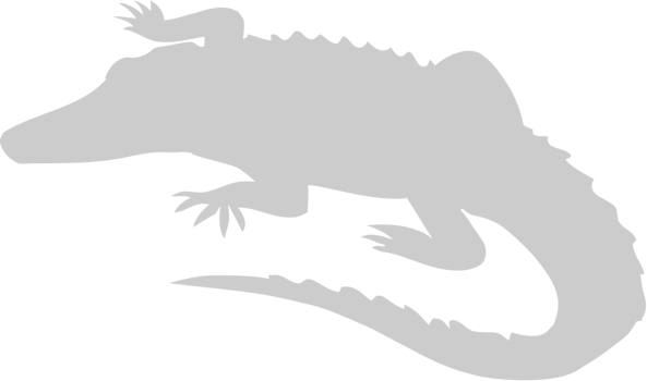 Alligator vector