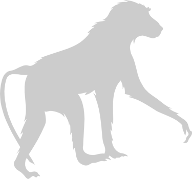 Ape vector