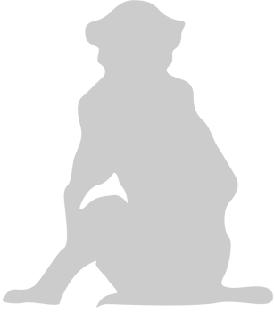 Ape vector