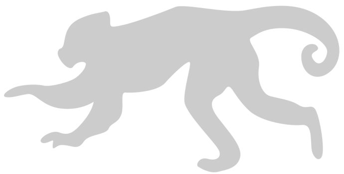 Ape vector