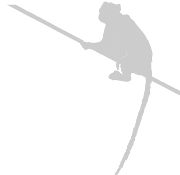 Ape vector
