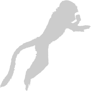 Ape vector