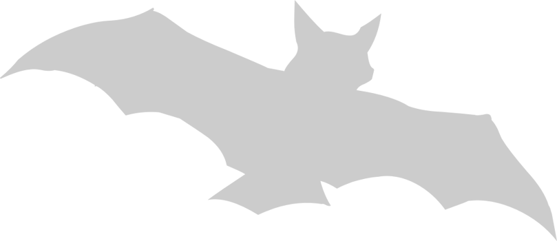 Bat vector