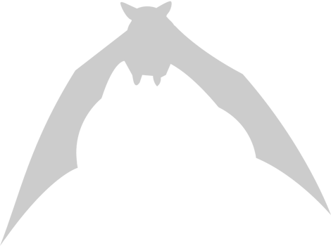 Bat flying vector