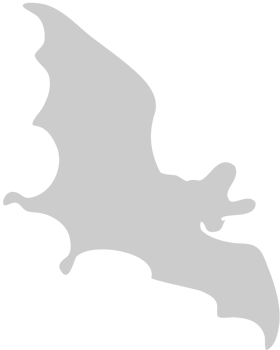 Bat vector