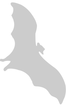 Bat vector
