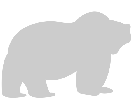 Bear vector