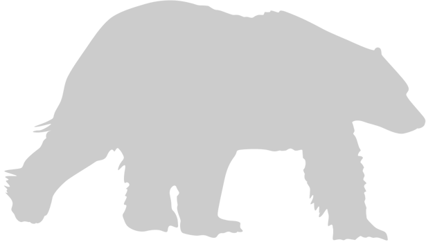 Bear polar vector