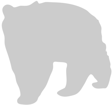Bear  vector