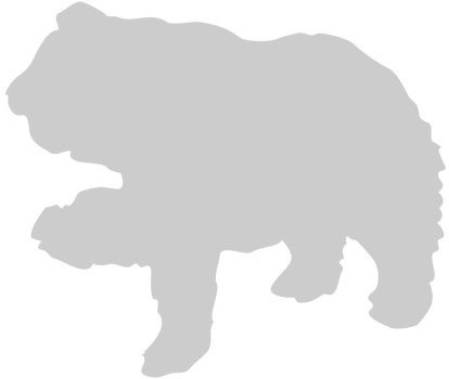 Bear  vector