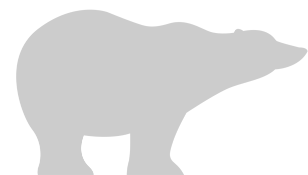 Bear vector