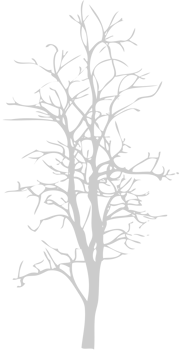 Dead Tree vector