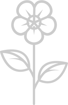 Flower vector