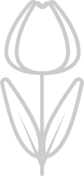 Flower vector
