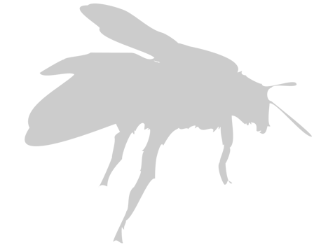Bee vector