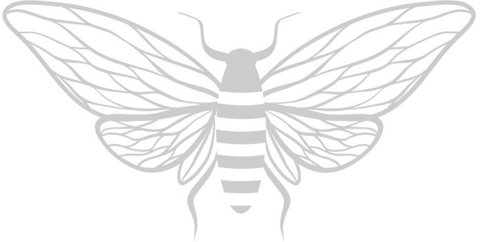 Bee vector