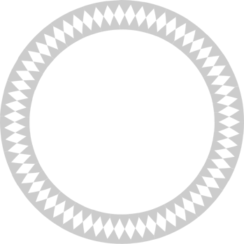 Circle frame vector