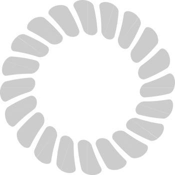 Circle frame vector
