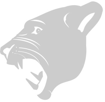 Bobcat head vector