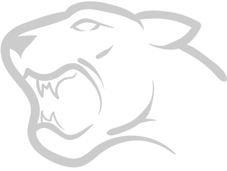 Bobcat vector