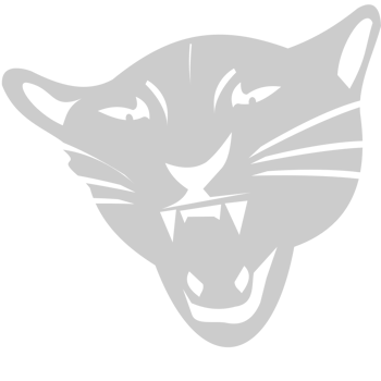 Bobcat head vector
