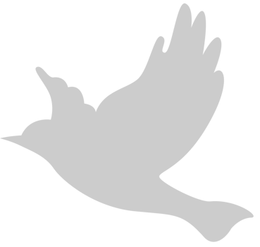 Bird vector