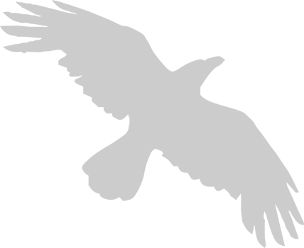 Bird vector