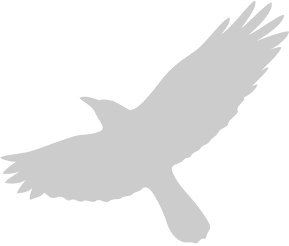 Bird vector
