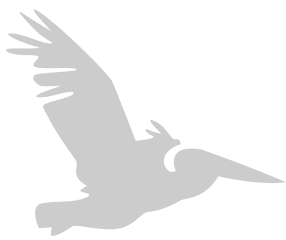 Bird vector
