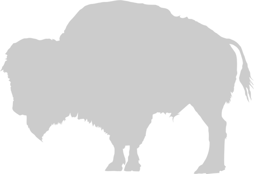 Buffalo vector