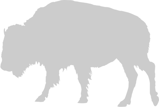 Buffalo vector