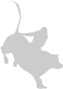 Bull vector