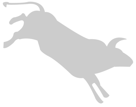 Bull vector