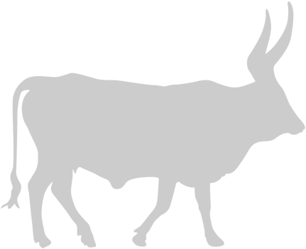Bull vector