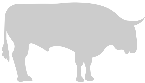 Bull vector