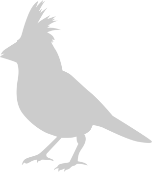 Cardinal vector